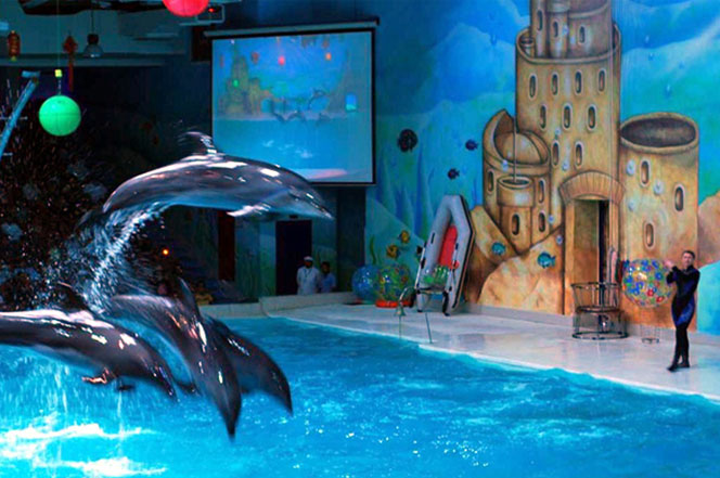 dolphinarium istanbul safarna